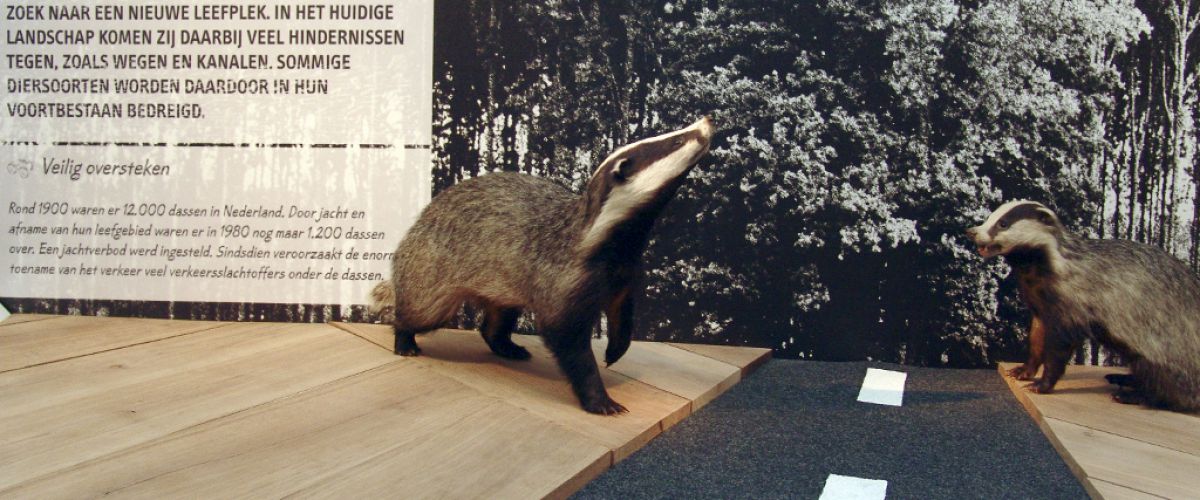 plan dialect Vertrek Lesbrief - Wilde dieren in Nederland | Museon Omniversum