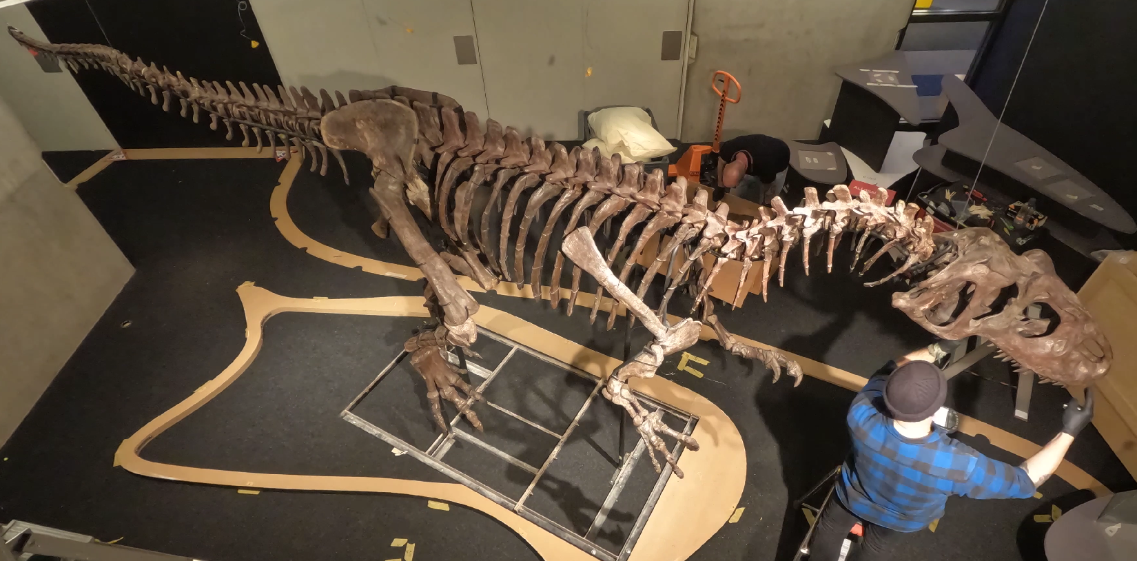 Screenshot Timelapse Opbouw Allosaurus