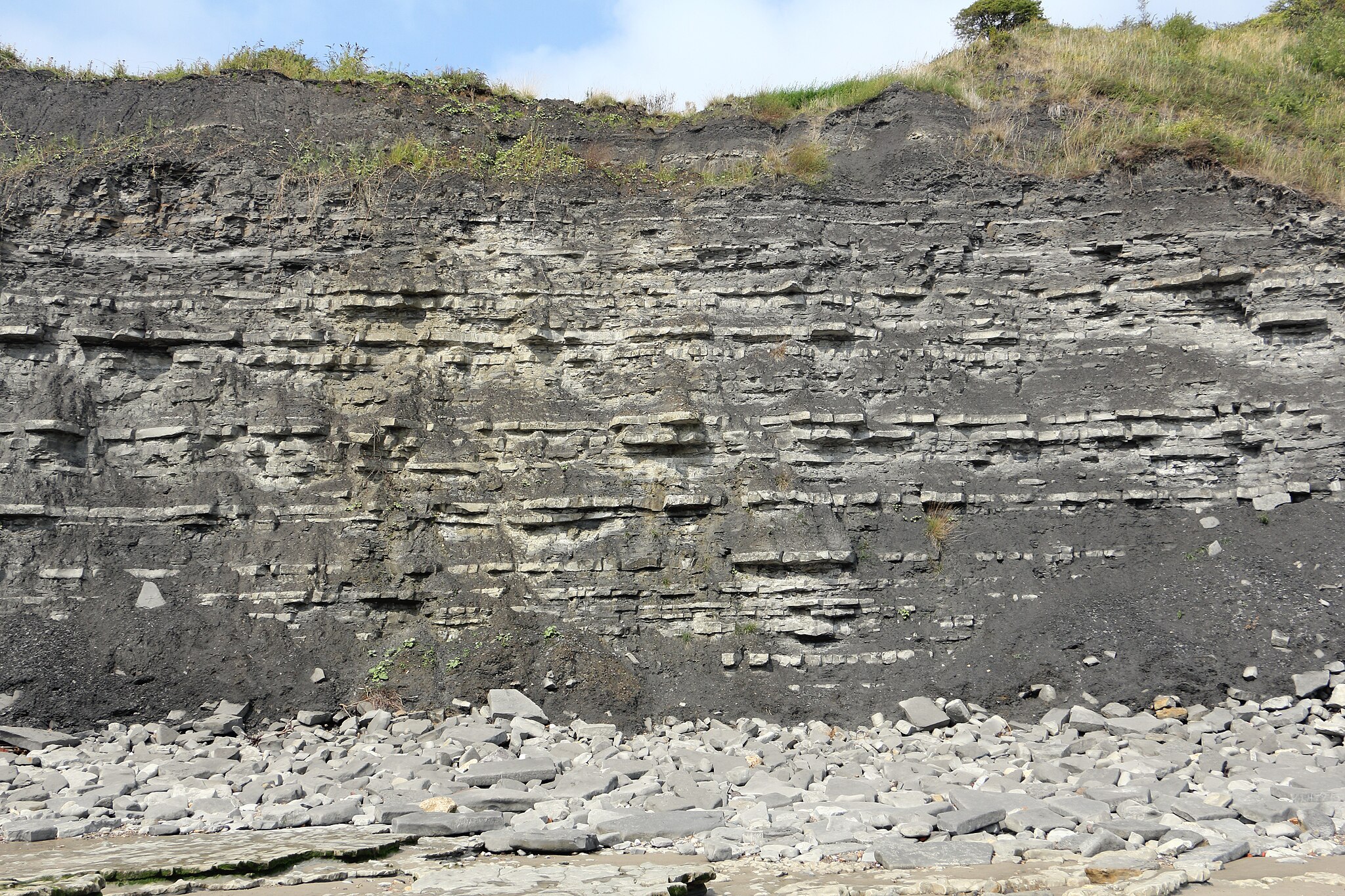 Blue Lias formation by Alan Walker, CC BY-SA 2.0, Wikimedia Commons