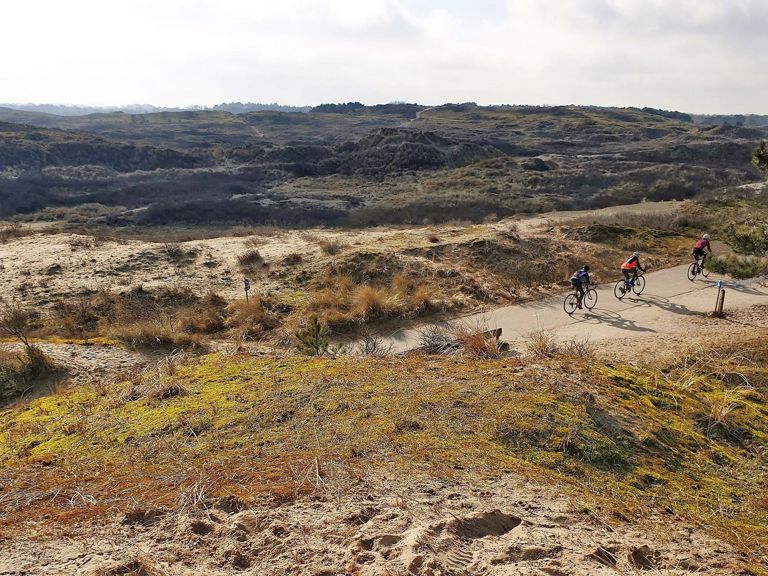 Duinen Bij Meijendel