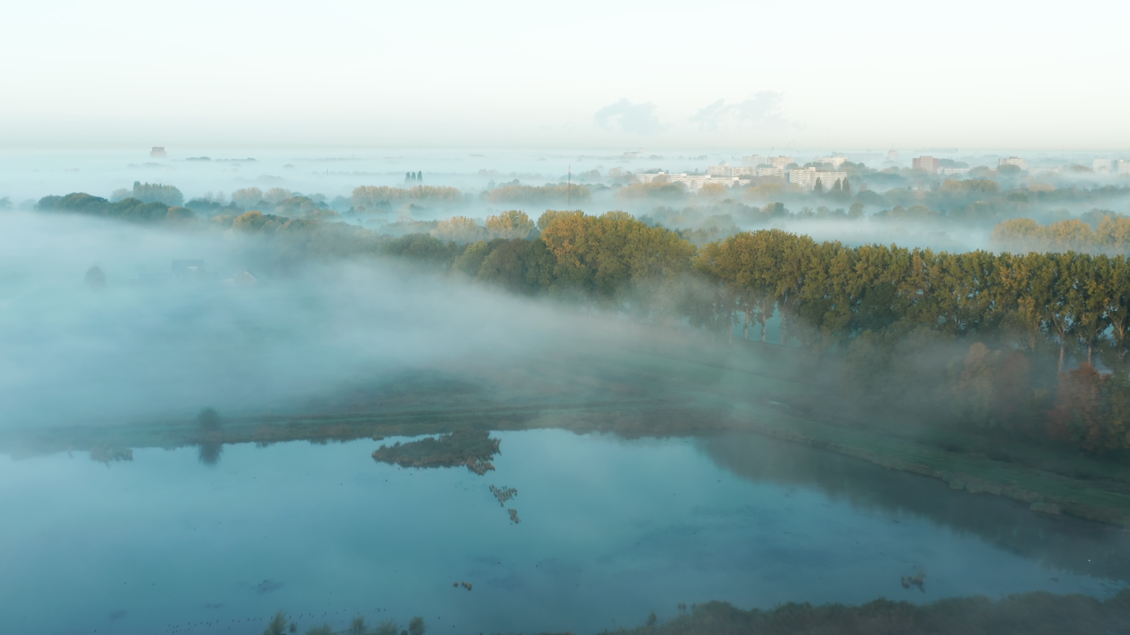 De Biesbosch Natuur In Beweging 2261