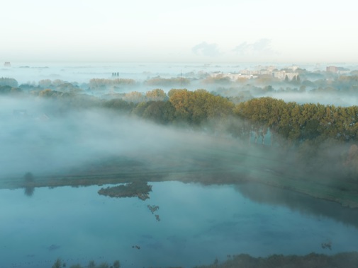 De Biesbosch Natuur In Beweging 2261