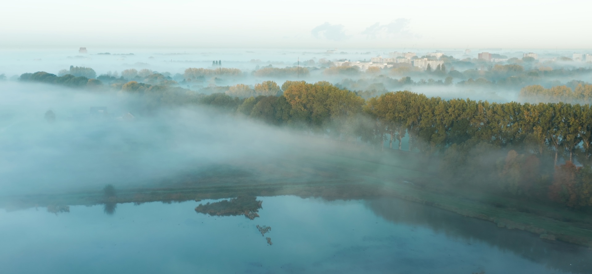 De Biesbosch Natuur In Beweging 2261