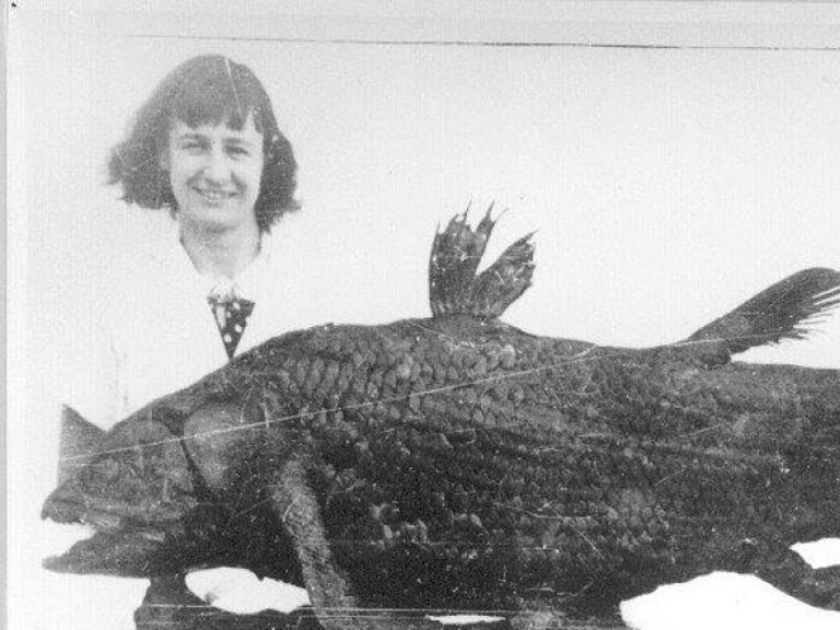 Marjorie Courtenay Latimer And Coelacanth