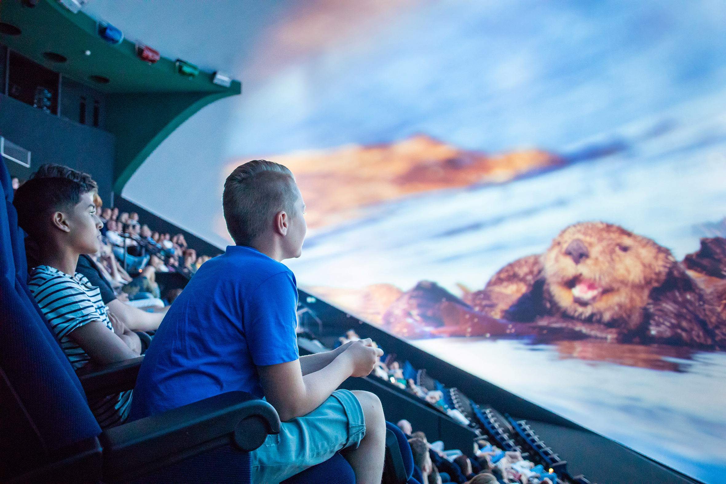 Dome Filmbezoeker en otter