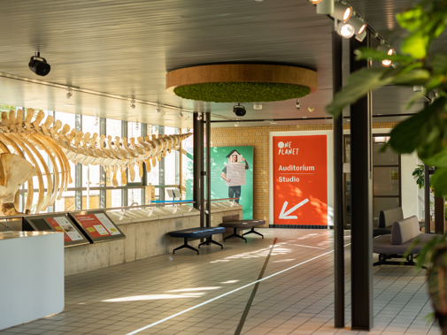 Museum Foyer