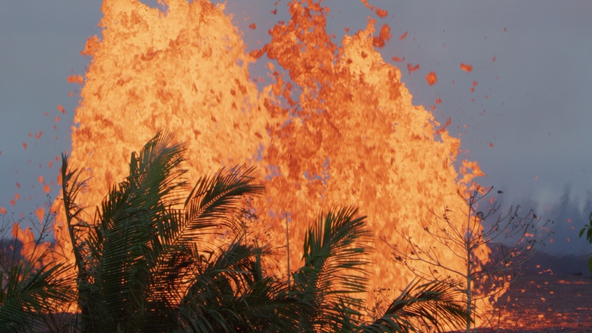 Volcanoes Hawaii Fissure Palms