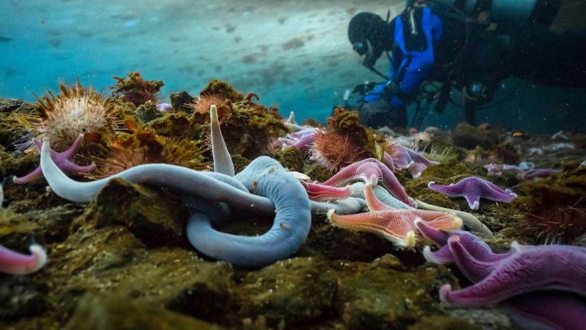 10 Antarctica Photo Select BTS Filming Under Sea Ice WEB4