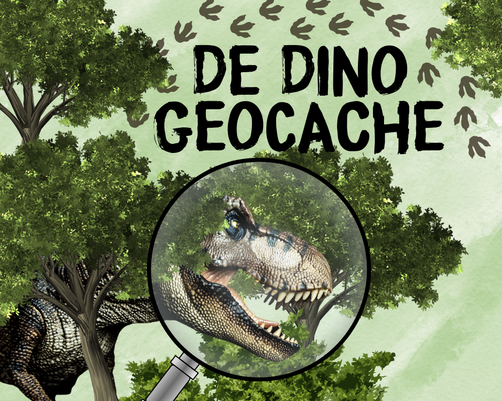 GEOCACHE Poster