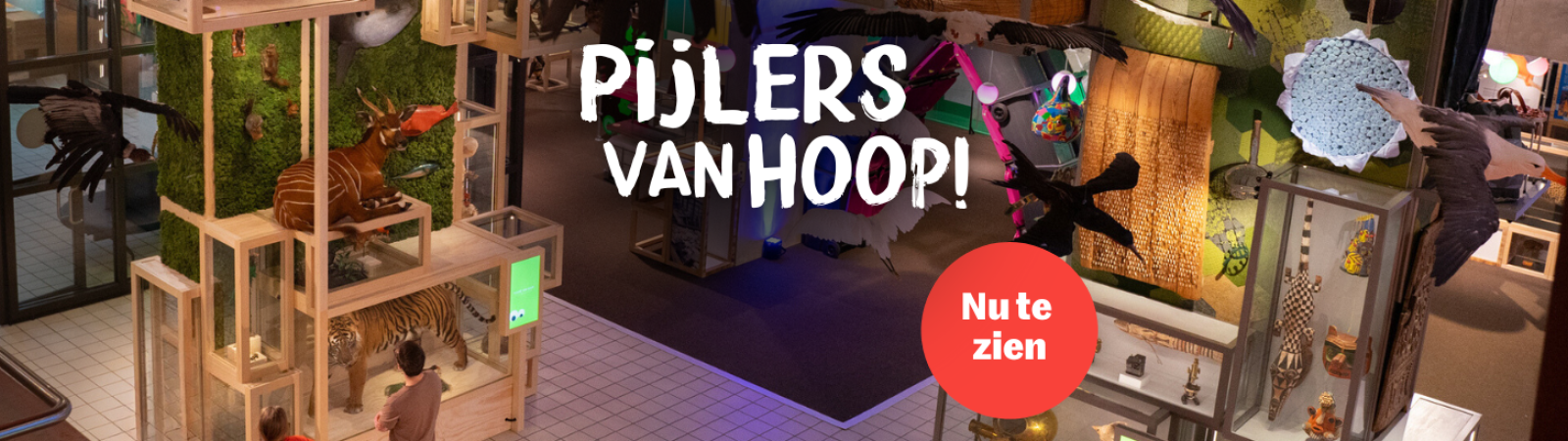 Pijlers van Hoop - nu te zien